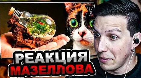 Сливки Шоу YouTube
