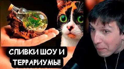 Сливки Шоу YouTube