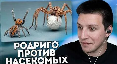 Сливки Шоу YouTube