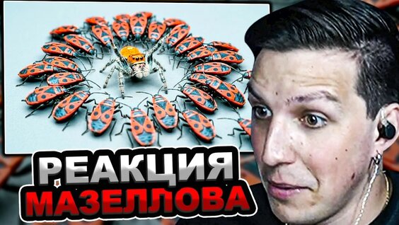 Сливки Шоу YouTube