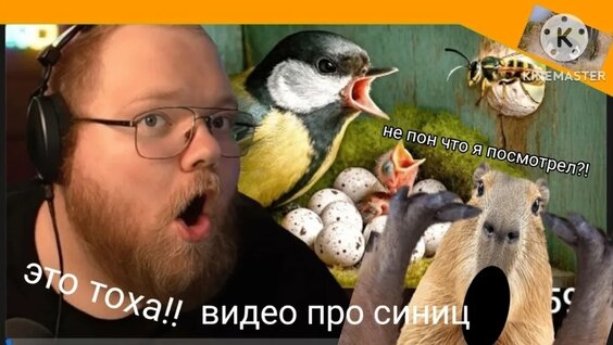 Сливки Шоу VK Видео