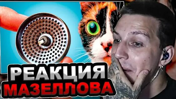 Сливки Шоу VK Видео