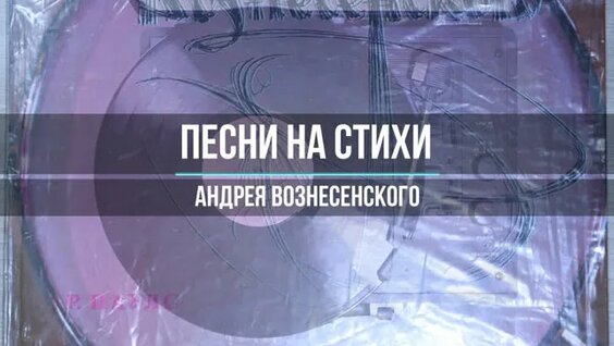 София Ротару ОК