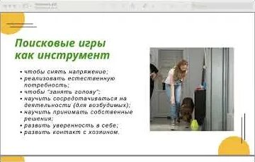 Софья YouTube