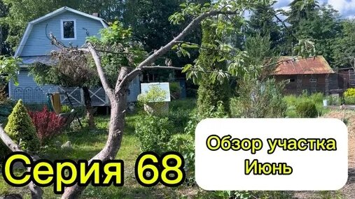 Софья Дзен