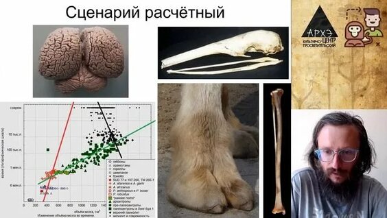Станислав Дробышевский Rutube
