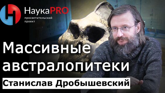 Станислав Дробышевский VK Видео