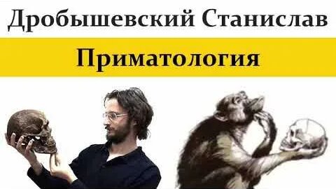 Станислав Дробышевский Rutube