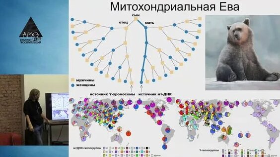 Станислав Дробышевский Rutube