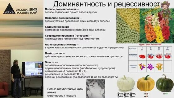 Станислав Дробышевский Rutube