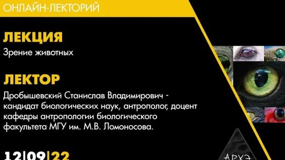 Станислав Дробышевский Rutube