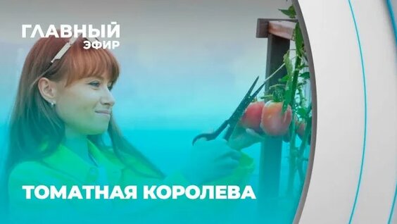 Строго Rutube