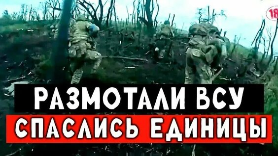 Строго Rutube