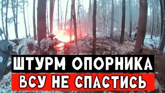 Строго Rutube