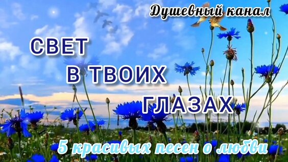 Света Rutube