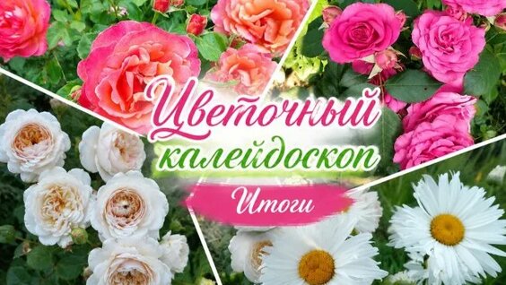 Светлана Ходченкова Rutube