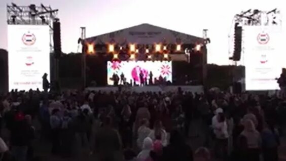 Светлана Сурганова VK Видео
