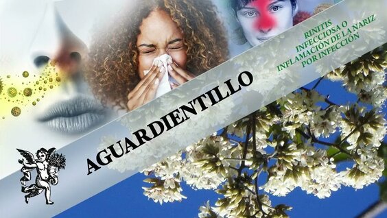 tATu YouTube