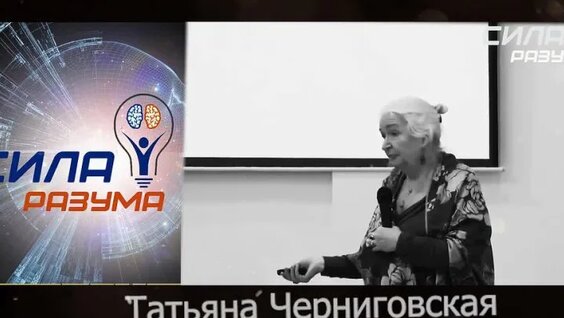 Татьяна Черниговская VK Видео