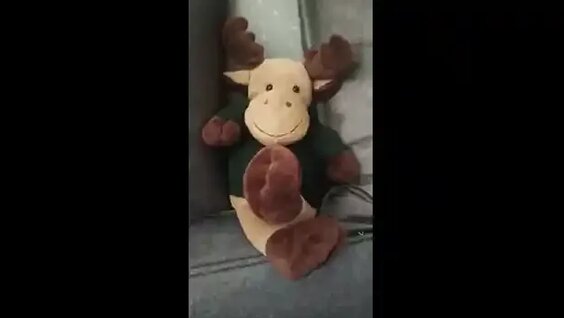 Татьяна Ларина Rutube