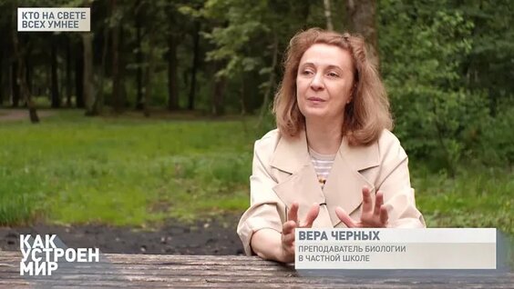 Тимофей Баженов VK Видео