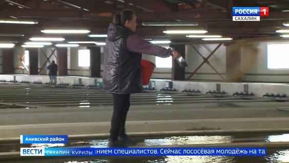 Валерий Лимаренко Rutube