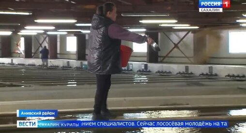 Валерий Лимаренко Дзен