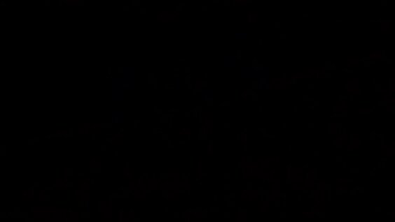 Валерия VK Видео