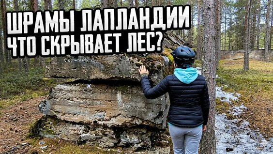 Верба YouTube