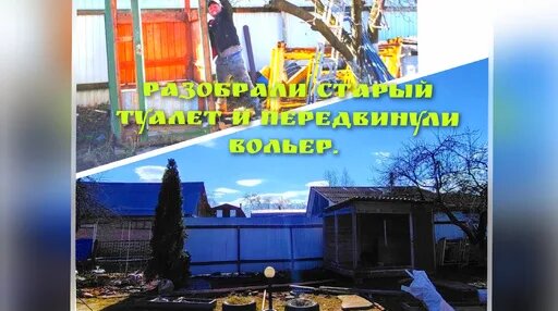 Верба Дзен