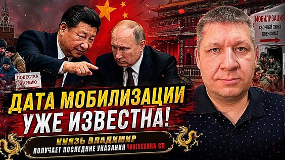 Верба VK Видео