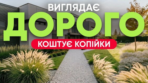 Верба YouTube