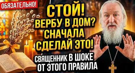 Верба YouTube