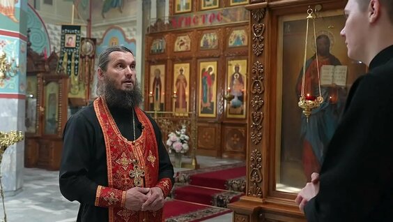 Верба VK Видео