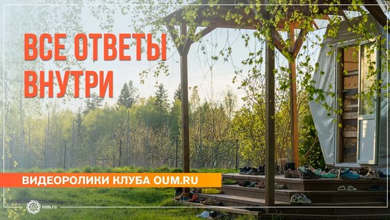 Верба VK Видео