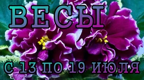 ВесЪ Дзен
