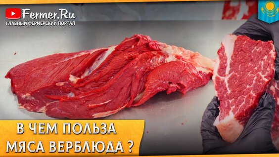 ВесЪ Rutube