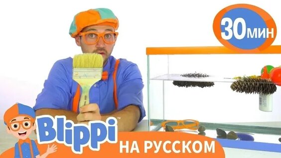 ВесЪ VK Видео