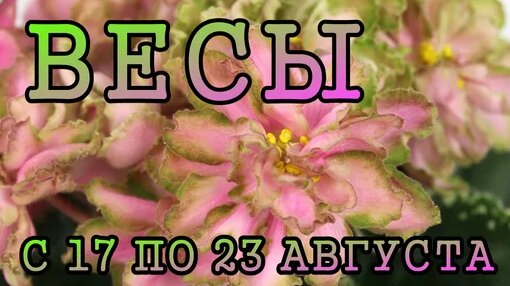 ВесЪ Дзен