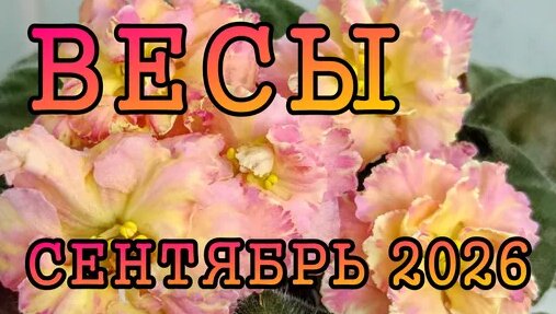 ВесЪ Дзен