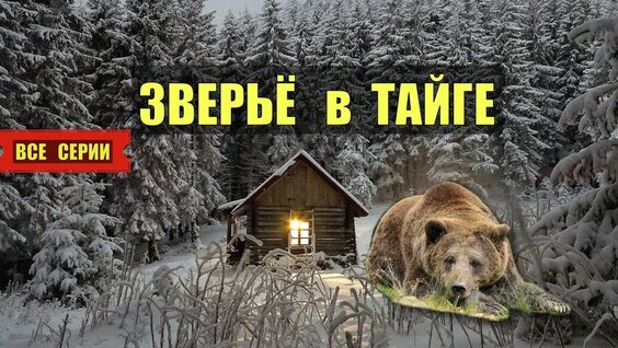 Весёлые ребята YouTube