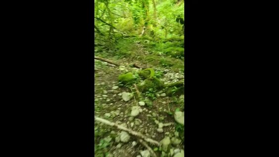 Виктор Иванов VK Видео
