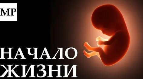 Виктор Пелевин Дзен