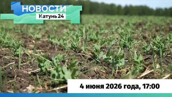 Виктор Томенко VK Видео