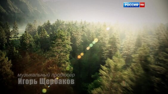 Виктор Васильев Mail.ru