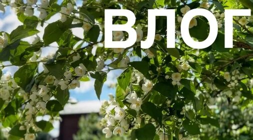 Винтаж Дзен