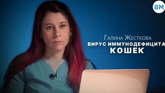 Вирус VK Видео