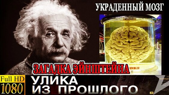 Владимир Бехтерев VK Видео