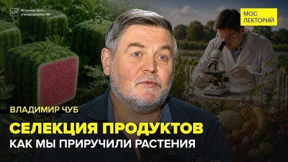 Владимир Чуб YouTube