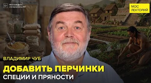 Владимир Чуб Дзен